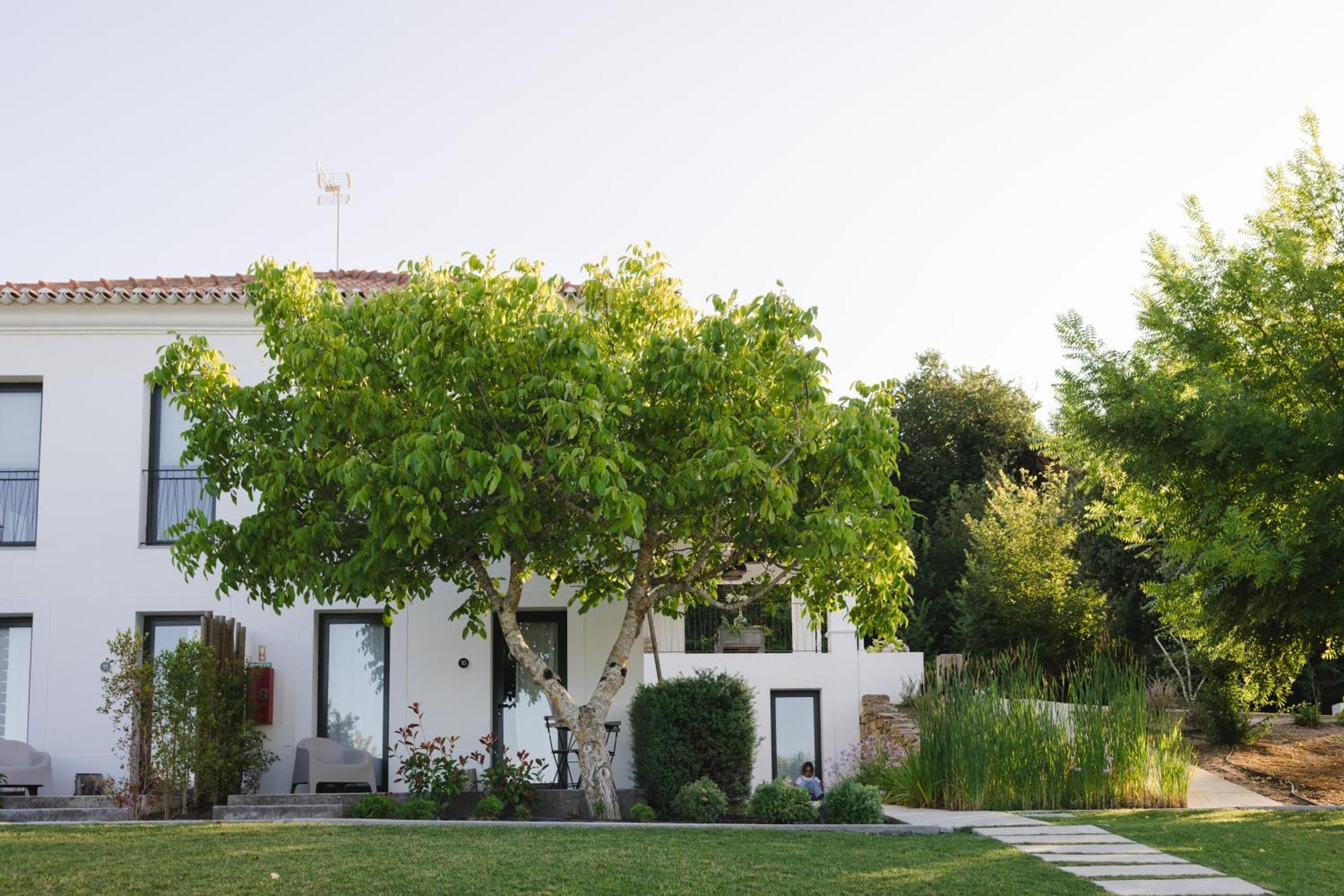 CAMBEIROS - Guest House Alenquer Extérieur photo